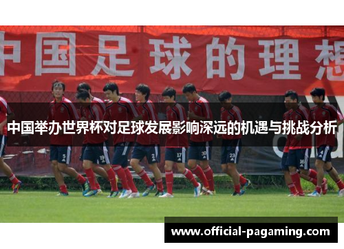 中国举办世界杯对足球发展影响深远的机遇与挑战分析