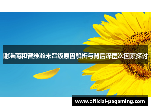 谢浩南和曾维瀚未晋级原因解析与背后深层次因素探讨