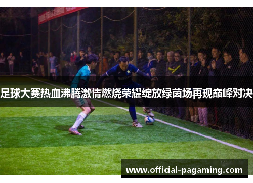 足球大赛热血沸腾激情燃烧荣耀绽放绿茵场再现巅峰对决