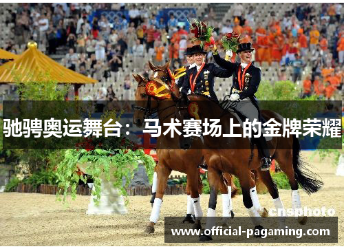 驰骋奥运舞台:马术赛场上的金牌荣耀 驰骋奥运舞台:马术赛场上的金牌荣耀