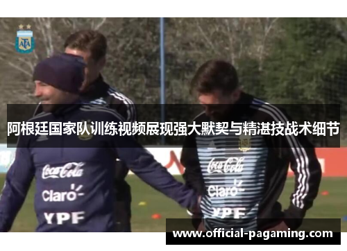 阿根廷国家队训练视频展现强大默契与精湛技战术细节