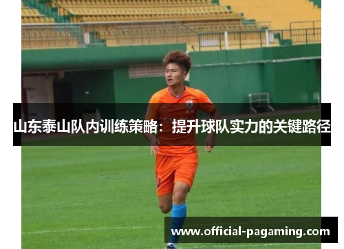 山东泰山队内训练策略:提升球队实力的关键路径 山东泰山队内训练策略:提升球队实力的关键路径