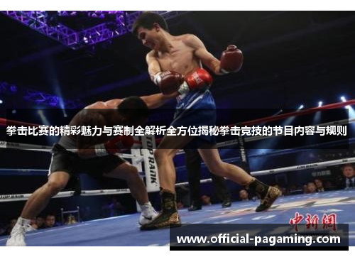 拳击比赛的精彩魅力与赛制全解析全方位揭秘拳击竞技的节目内容与规则
