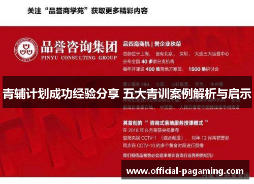 青辅计划成功经验分享 五大青训案例解析与启示