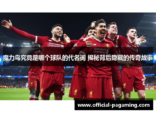 魔力鸟究竟是哪个球队的代名词 揭秘背后隐藏的传奇故事