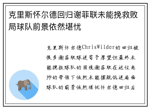 克里斯怀尔德回归谢菲联未能挽救败局球队前景依然堪忧